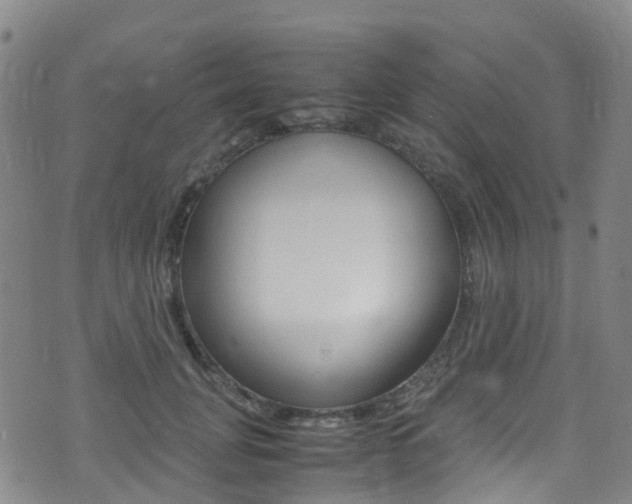X0000075380751200609080911