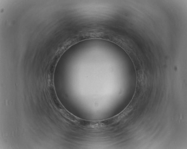 X0000075380752200609080911