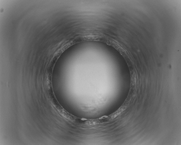 X0000075380764200609080911