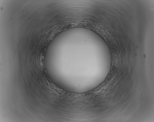 X0000075380770200609080911