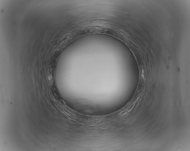X0000075380771200609080911