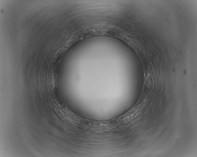 X0000075380772200609080911