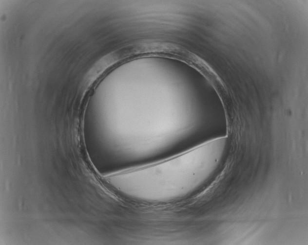 X0000075380786200609080910