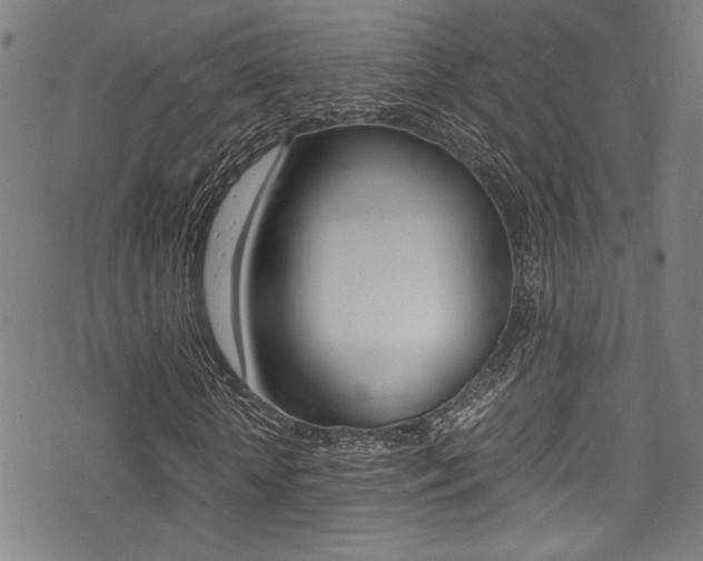 X0000075380818200609080909