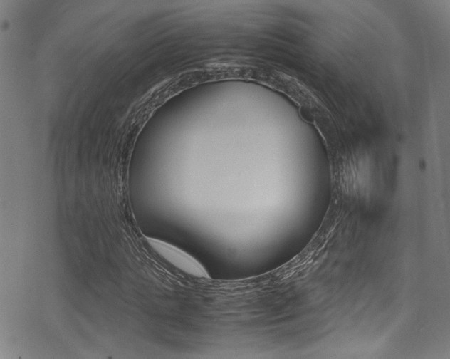 X0000075380821200609080909