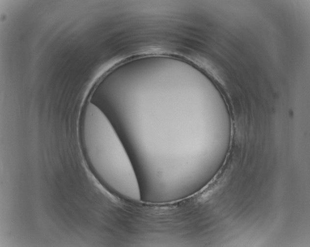 X0000075380839200609080909
