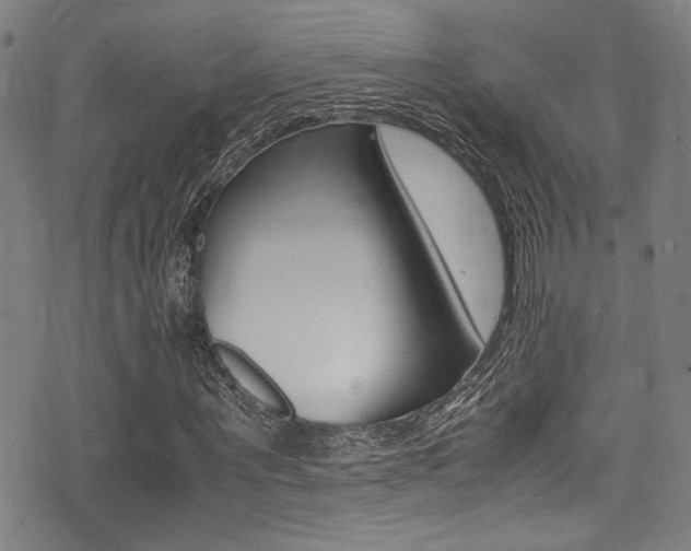 X0000075380867200609080909