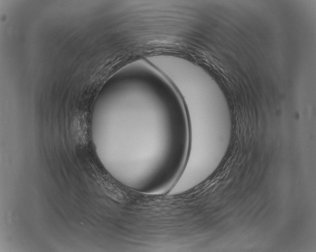 X0000075380868200609080909