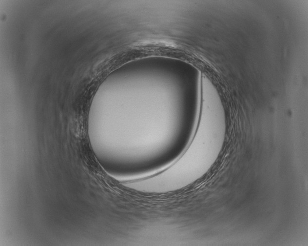 X0000075380965200609080907