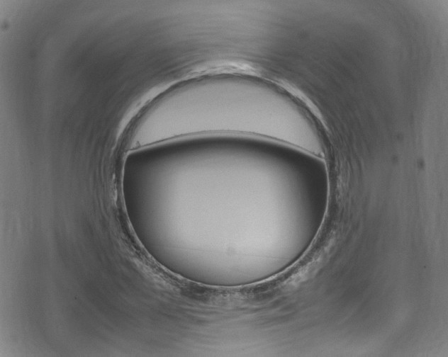 X0000075380973200609080907