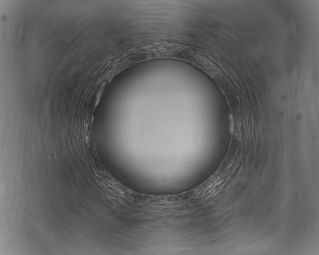 X0000075381010200609080906