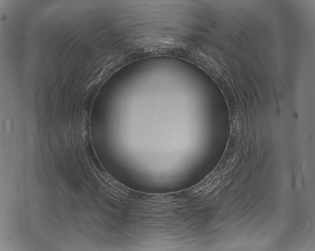X0000075381012200609080906