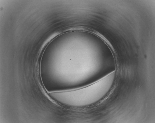 X0000075381053200609080907