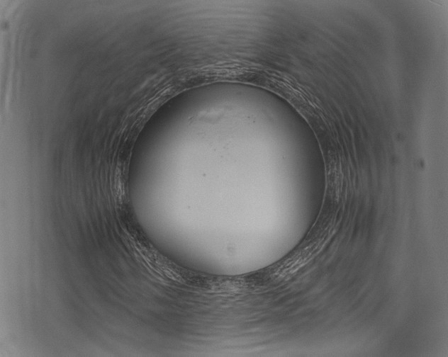 X0000075381058200609080906