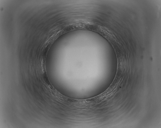 X0000075381060200609080906