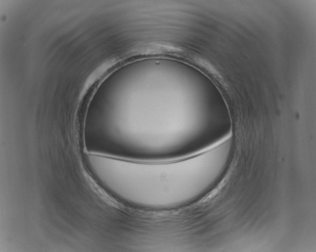 X0000075381122200609080905
