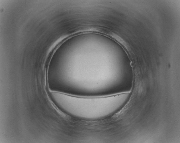 X0000075381127200609080905