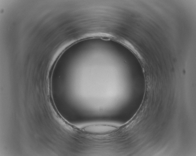 X0000075381140200609080905