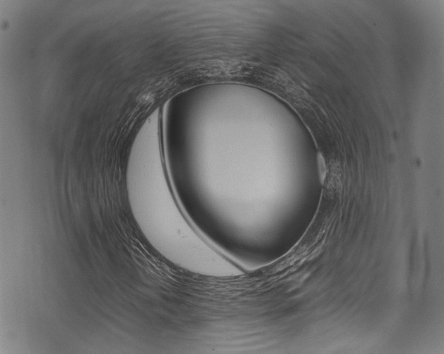 X0000075381202200609080903