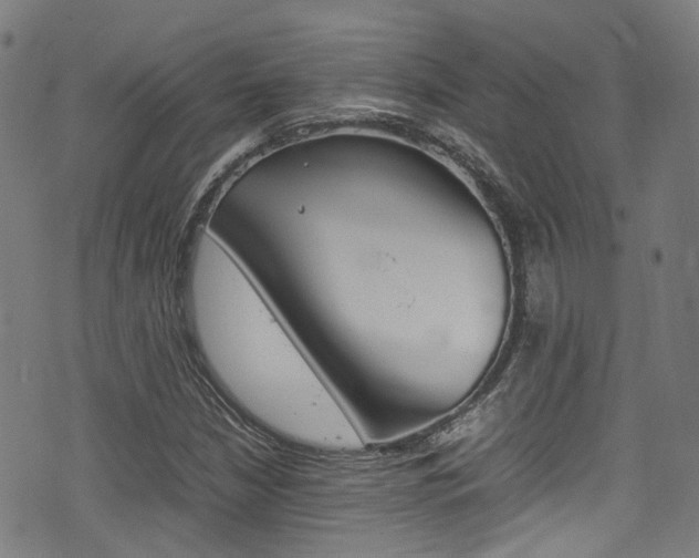 X0000075381210200609080903