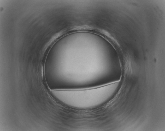 X0000075381221200609080903