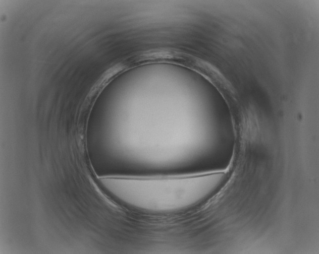 X0000075381225200609080903