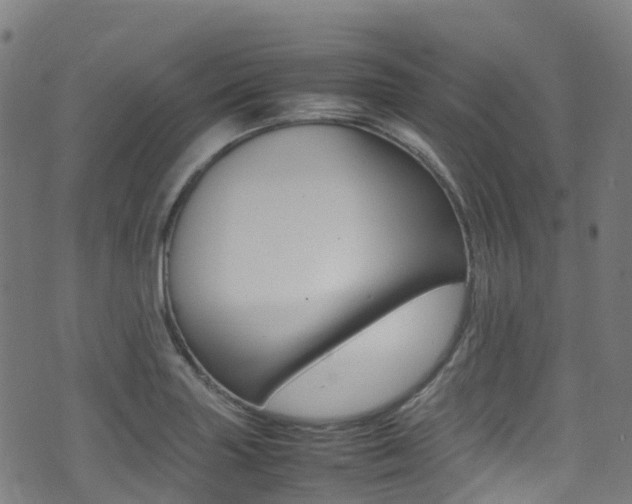 X0000075381227200609080903
