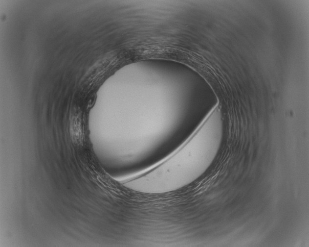 X0000075381250200609080903