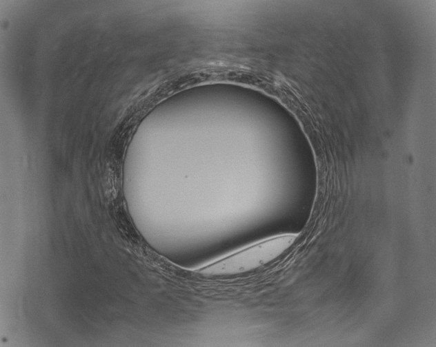 X0000075381253200609080903