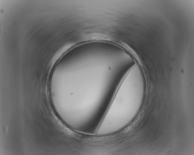 X0000075381293200609080902