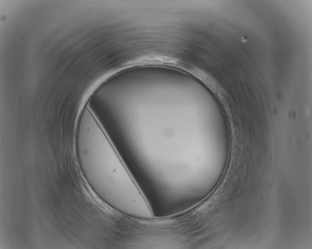 X0000075381296200609080902