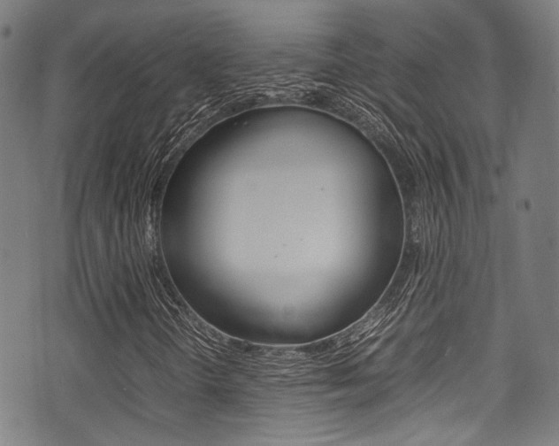 X0000075381298200609080901