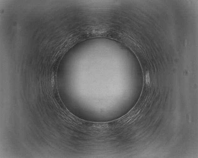 X0000075381299200609080901