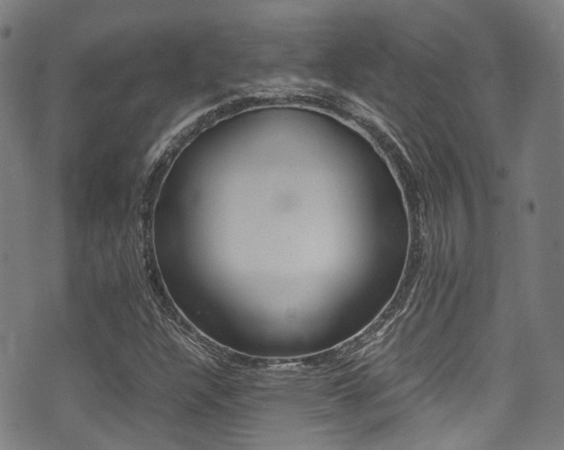 X0000075381304200609080901