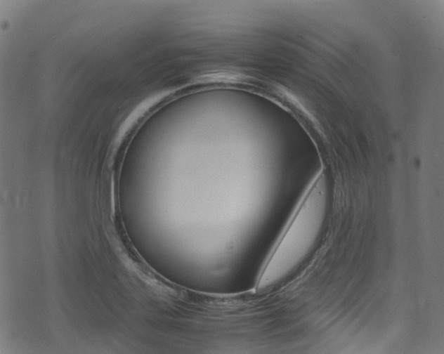 X0000075381323200609080902