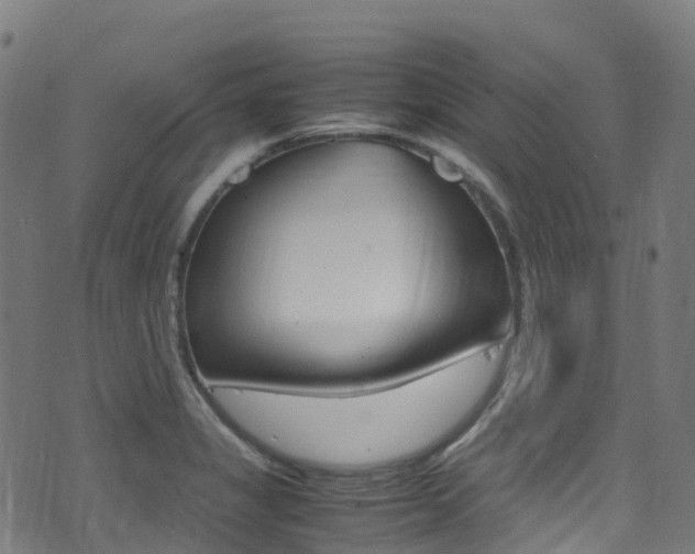 X0000075381325200609080902