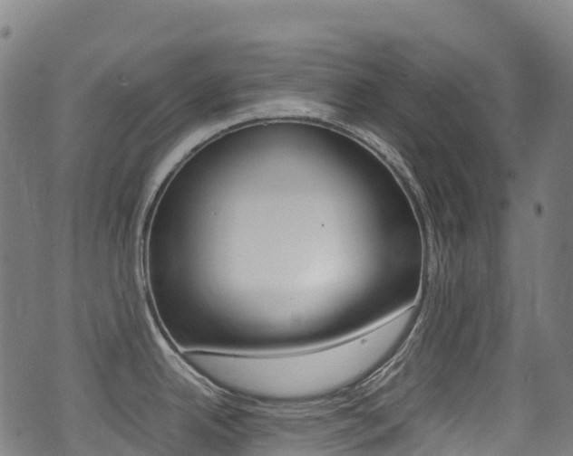 X0000075381342200609080902