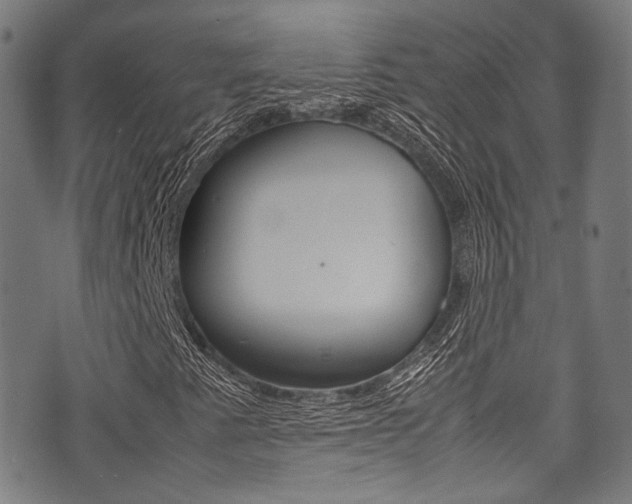 X0000075381345200609080901