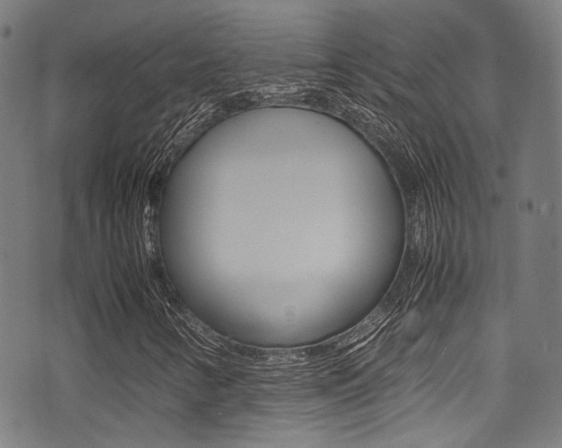 X0000075381346200609080901