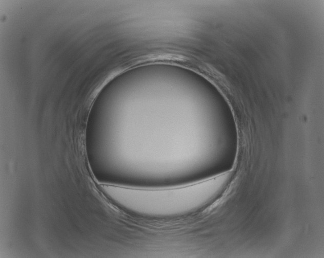 X0000075381369200609080901