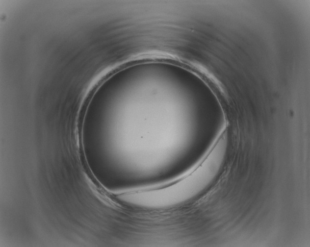 X0000075381372200609080901