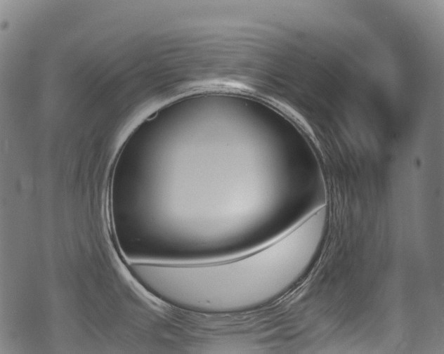 X0000075381391200609080900