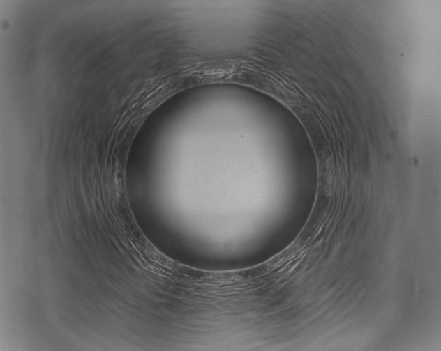 X0000075381394200609080900