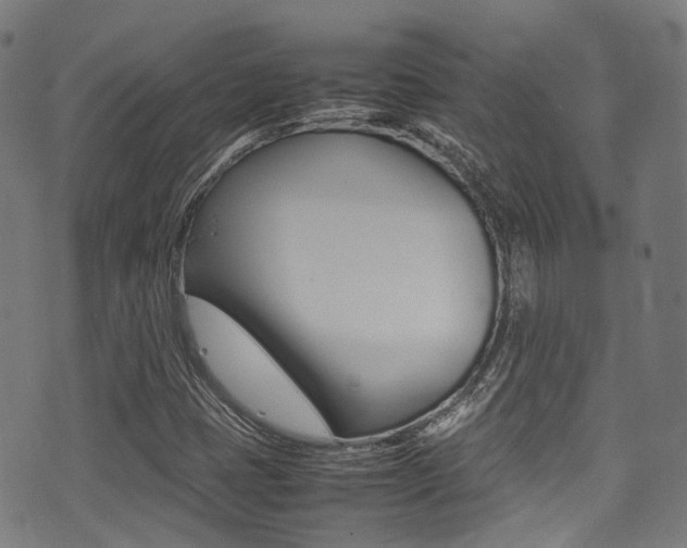 X0000075381401200609080900