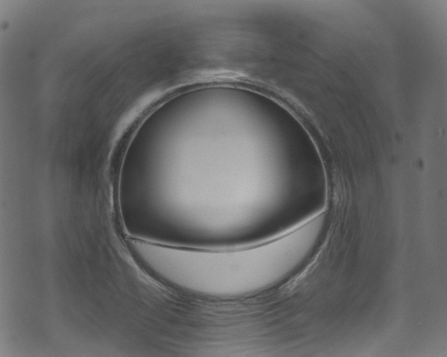 X0000075381414200609080900
