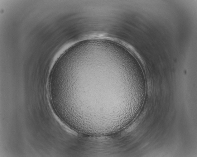 X0000075381432200609080900