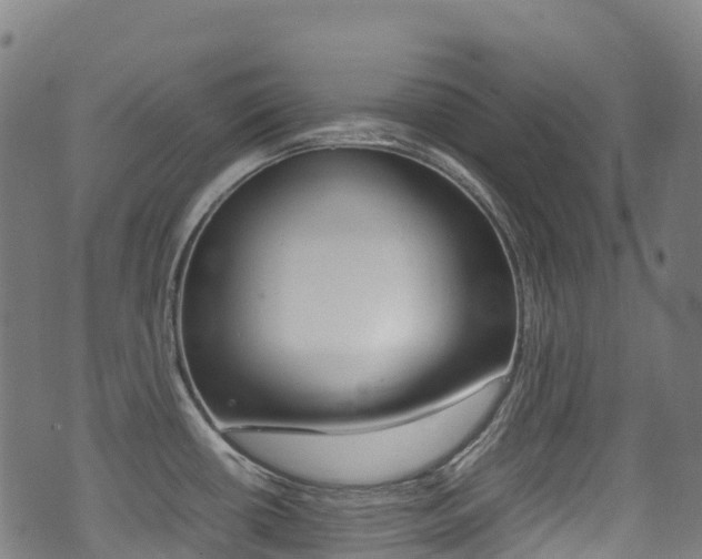 X0000075381434200609080900