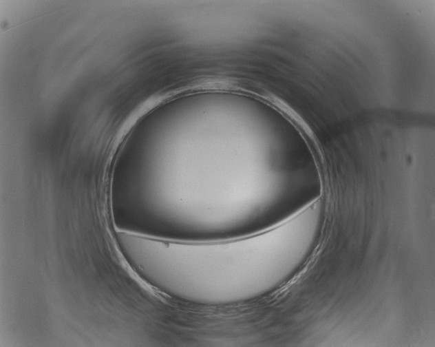 X0000075381437200609080900