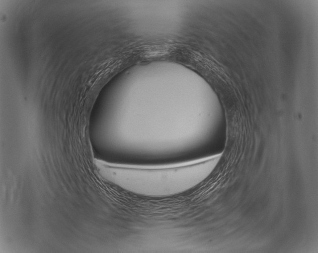 X0000075381441200609080900