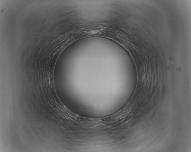 X0000075381442200609080900